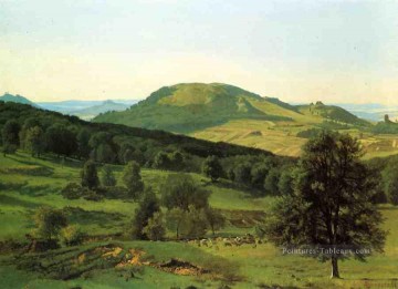  dal tableau - Hill et Dale Albert Bierstadt